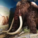 Dzień piąty 3.05.2023